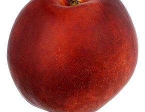 Nectarines